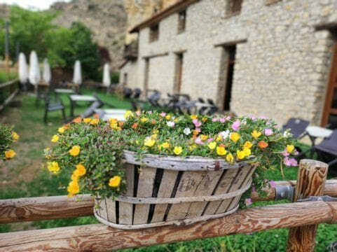 posada-del-pelaire-fleurs-terrasse-2