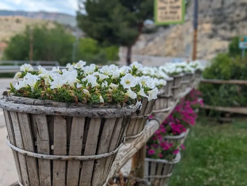 posada-del-pelaire-flowers-terrace-4