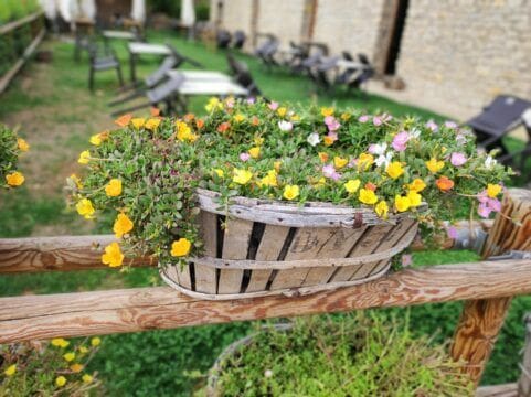 posada-del-pelaire-fleurs-terrasse